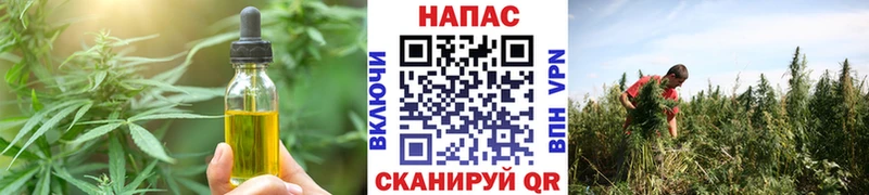 Еда ТГК марихуана  где купить наркоту  Новошахтинск 