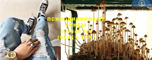 твердый Карталы