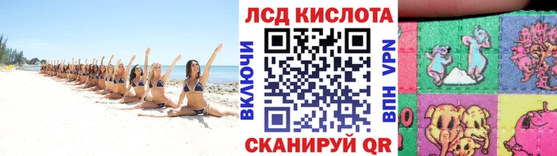 где найти наркотики  Новошахтинск  shop официальный сайт  Марки NBOMe 1,8мг 
